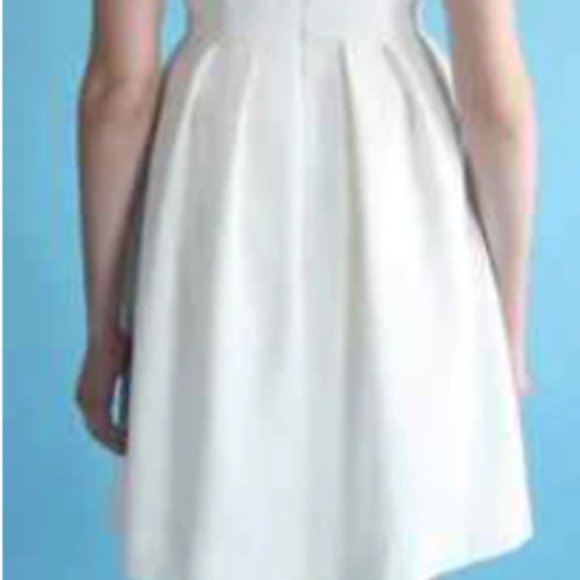 Birds of North America Hoover Wedding Dress - Picture 8 of 8